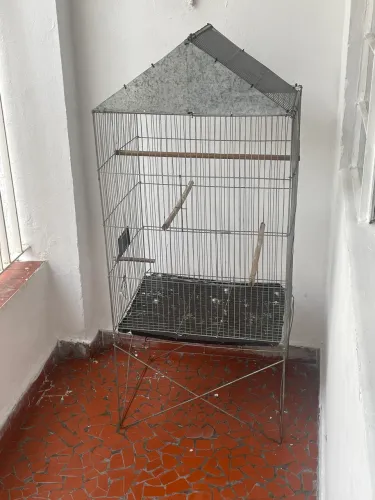 Viveiro pássaros