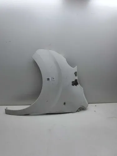 Paralama Peugeot Expert Citroen jumpy Lado Esquerdo