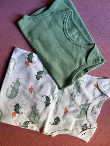2 bodies carters simple joys - 24 meses - novo
