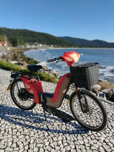 Bicicleta elétrica