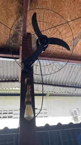 Ventiladores e Luminárias