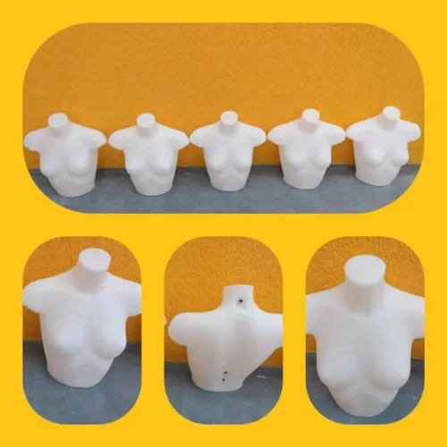 Busto feminino