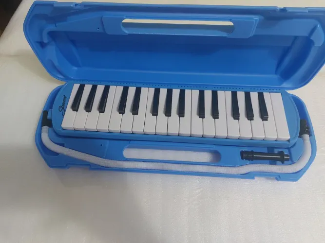 Escaleta 32 teclas mais case