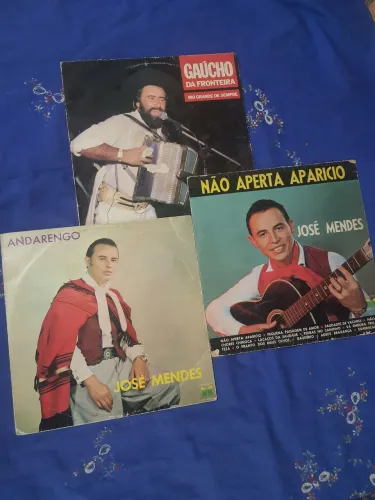 Lote 11 LPs Gaúchos:José Mendes, Gaúcho da Fronteira, Os Tiranos e Festivais - Vinil