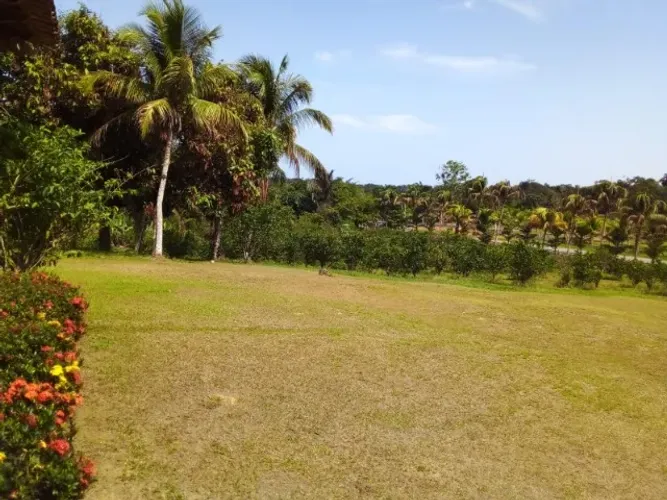 Sítio 300 x 1.100 na am 010 km 83 Rio Preto da Eva  1.700.000