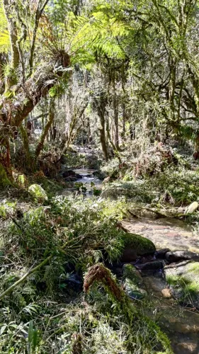 Sitio / Terreno / Chácara / 5 hectares Rio dos Bugres Urubici Cascata e Rio