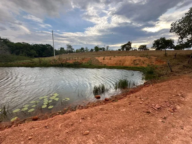 Chácara de 24 hectares