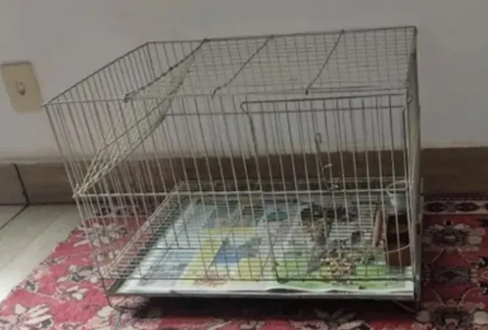 Gaiola para pets, coelhos, preá ou aves.