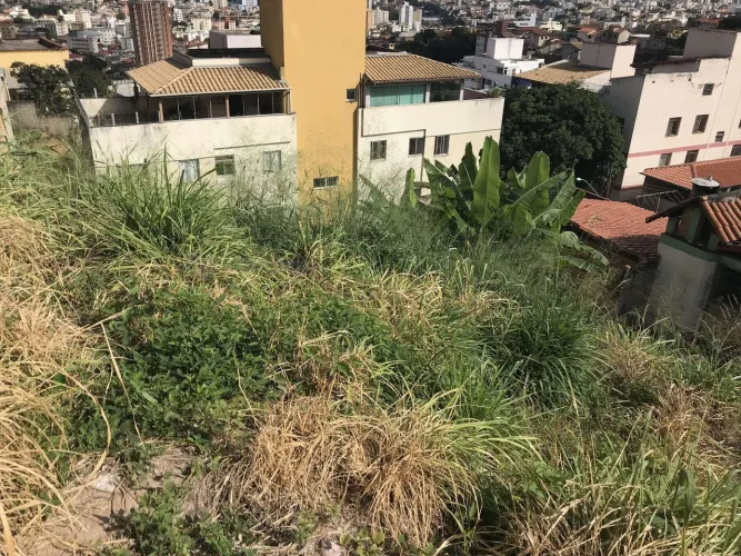Venda Lote-Área-Terreno Paraíso Belo Horizonte