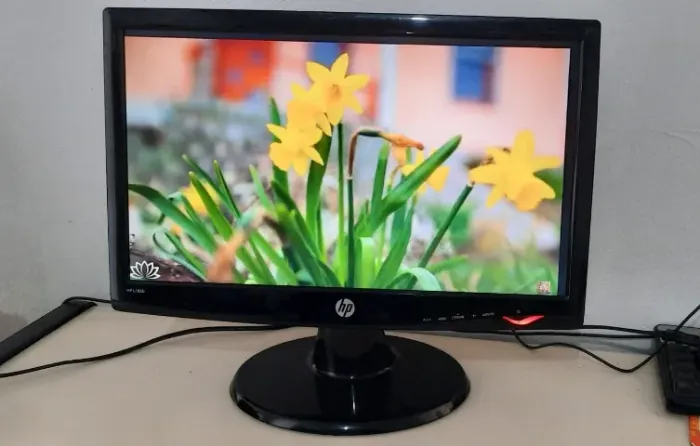 Monitor 19 Polegadas LG Flatron Lcd W1943c Widescreen + cabo (energia & vga)
