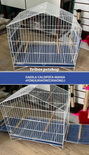 Gaiola 