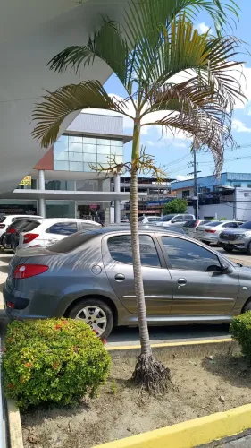 Ponto Comercial 60m2. Vieiralves.