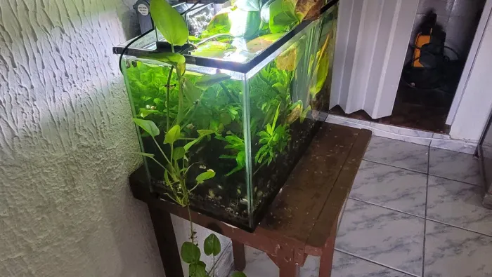 Aquário Completo 35L Pronto para Uso com Filtro, LED e Aquecedor