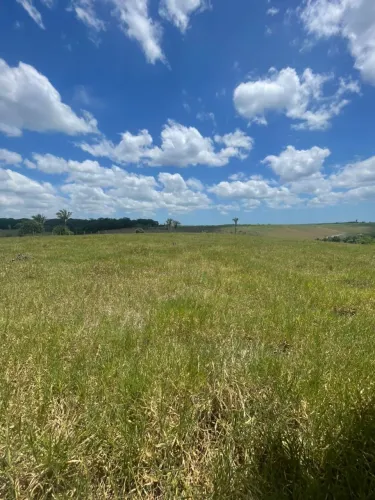 Sítio em São Luís do Quitunde