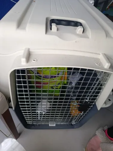 Caixa transportadora Pet