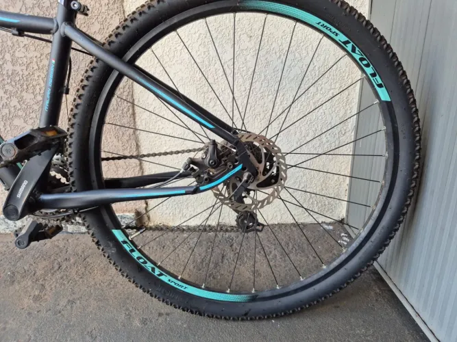 Bicicleta oggi