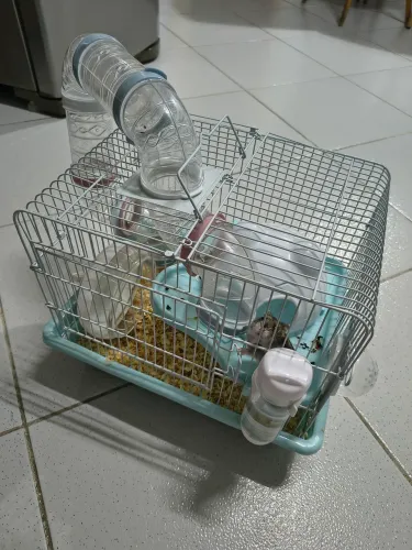 Gaiola com Hamster