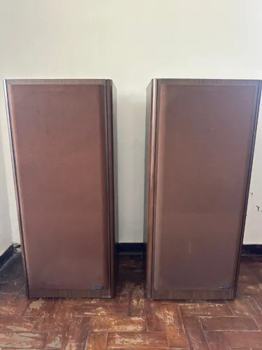 Par de caixas de som Cygnus Heavy 230