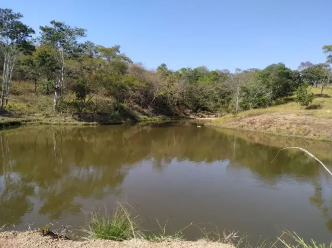 Fazenda a venda, em Pires do Rio / Goiás