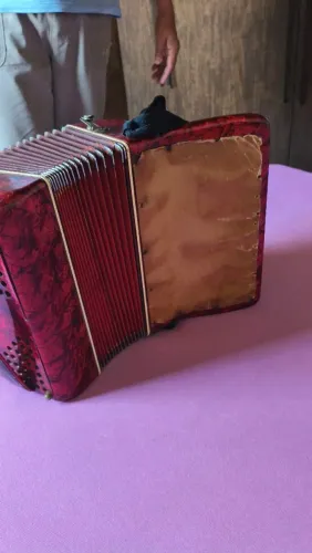 Vendo acordeon 2 vozes ( 48 baixos reduzido)