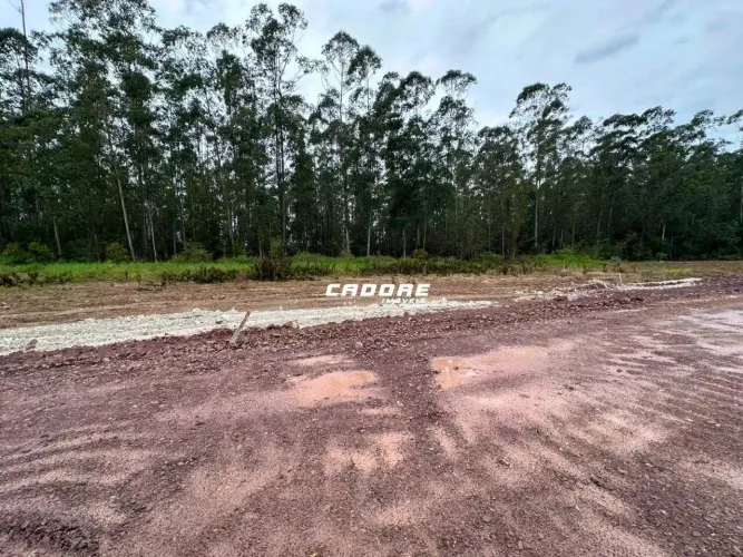 Terreno à Venda em Gaspar | Cadore Imóveis