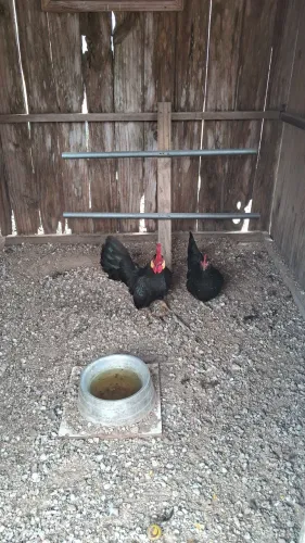 Casal de Galizé Mini