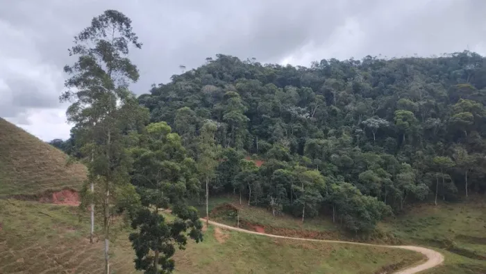 SITIO DOMINGOS MARTINS 20.000M2, SÓ 160 MIL, ÓTIMA LOCALIZAÇÃO