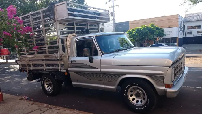 Ford F-1000 S. S. Diesel / S.s. Diesel Turbo 1991
