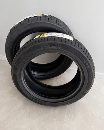 Par de Pneus Delinte DS2 205/55 ZR17 95W XL - Novos