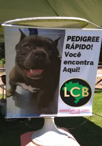 Peça já o Pedigree do seu cão de Raça 