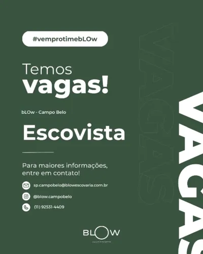 Escovista