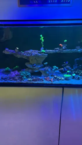 Aquario 150x45x45