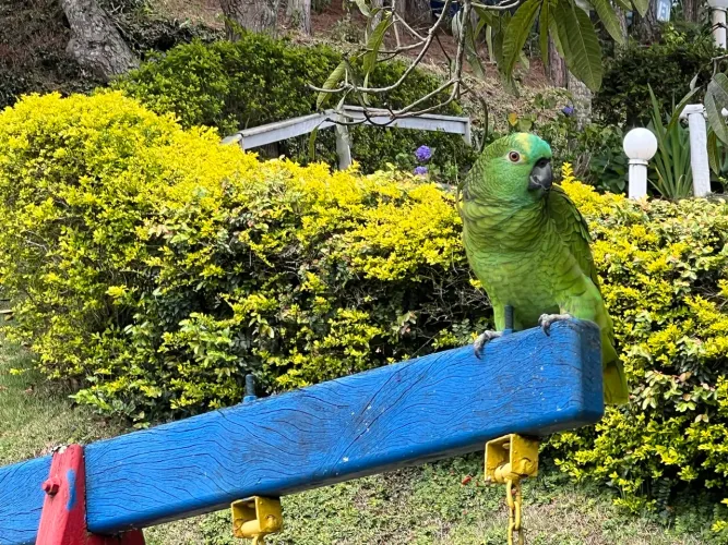 Linda chácara para lazer