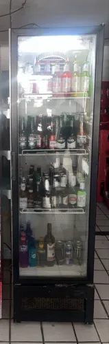 Freezer vertical expositor 