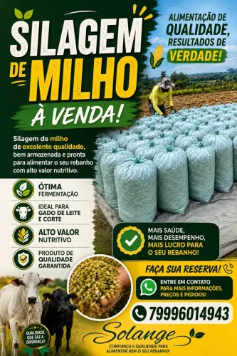 Silagem