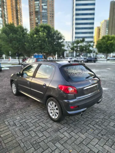 Peugeot 207 XS 1.6 Flex 16V 5P 2009