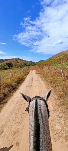 Fazenda de 152 Hectares com Cachoeira e Pasto Formado em Silveiras - SP.