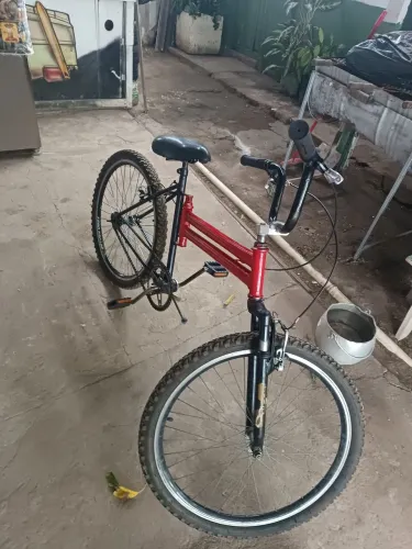 Bike maria mole