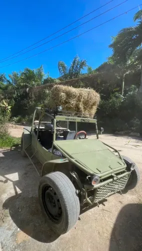 Aranha tubular