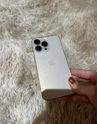 13 pro 256gb 