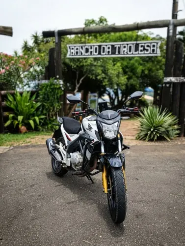 Moto Twister 250 2019
