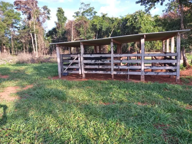 Fazenda com tres nascentes, 7 km do asfalto