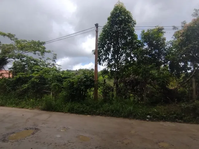 Terreno em Sítio- Manassú (Jaboatão br 232)