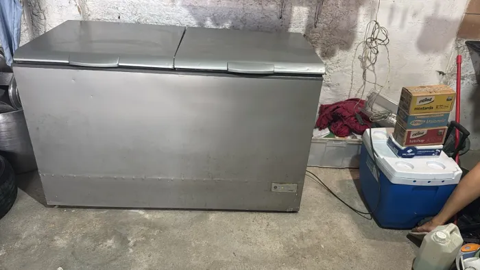FREZEER CONSUL