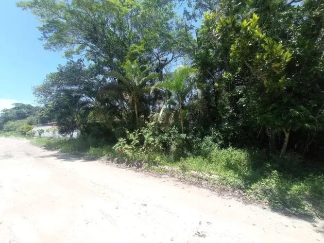 Lote/Terreno à Venda, São Fernando - Itanhaém
