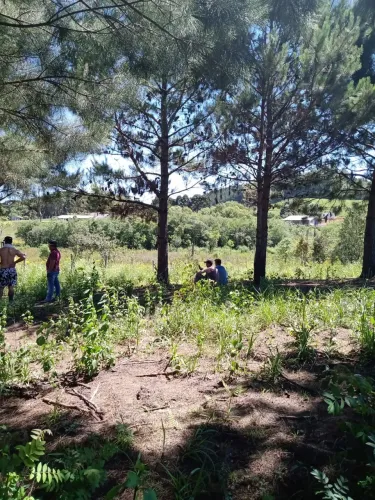 Terreno pra formar chácara