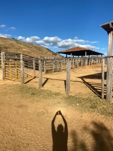 Fazenda/Sítio/Chácara para venda possui 90 metros quadrados em Canabrava - Francisco Sá -