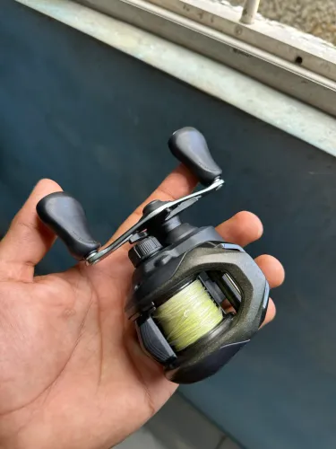 Carretilha Caius Shimano