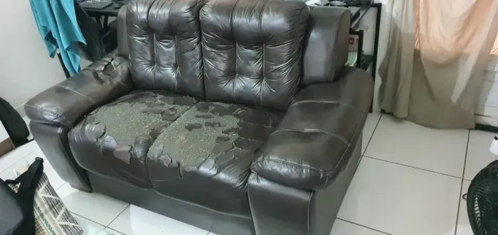 Sofá Elegante em Courino 2 lugares
