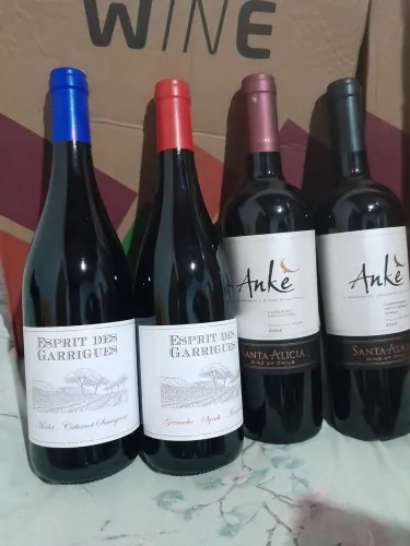 Vinhos